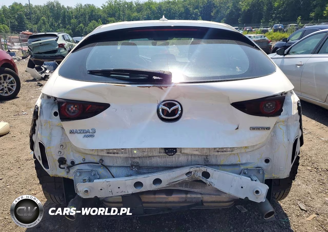 2019 Mazda 3 Preferred VIN:JM1BPBMM6K1126759 - 6