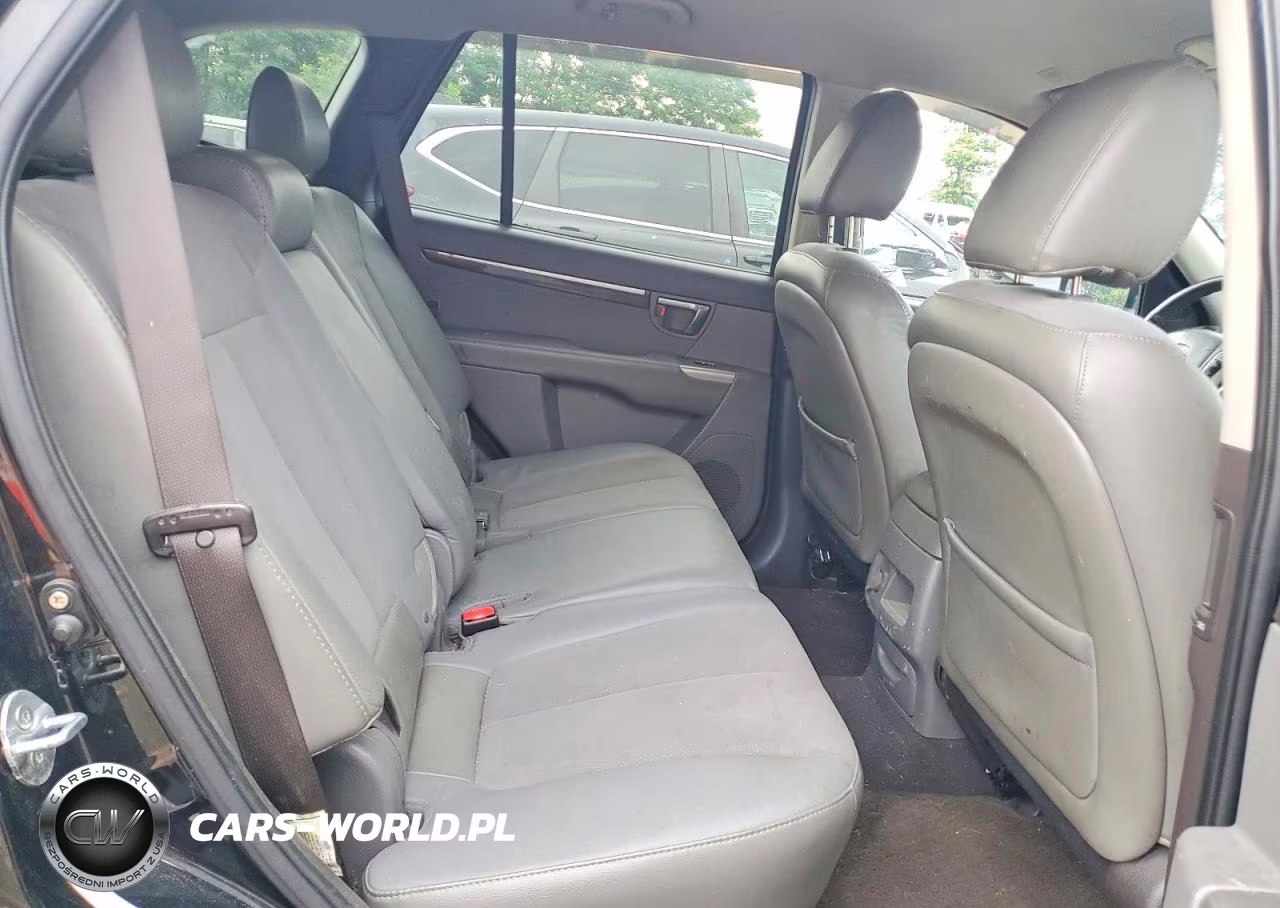 2010 Hyundai Santa Fe Se VIN:5NMSH4AG5AH397680 - 11