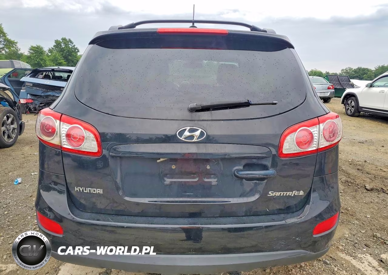 2010 Hyundai Santa Fe Se VIN:5NMSH4AG5AH397680 - 6