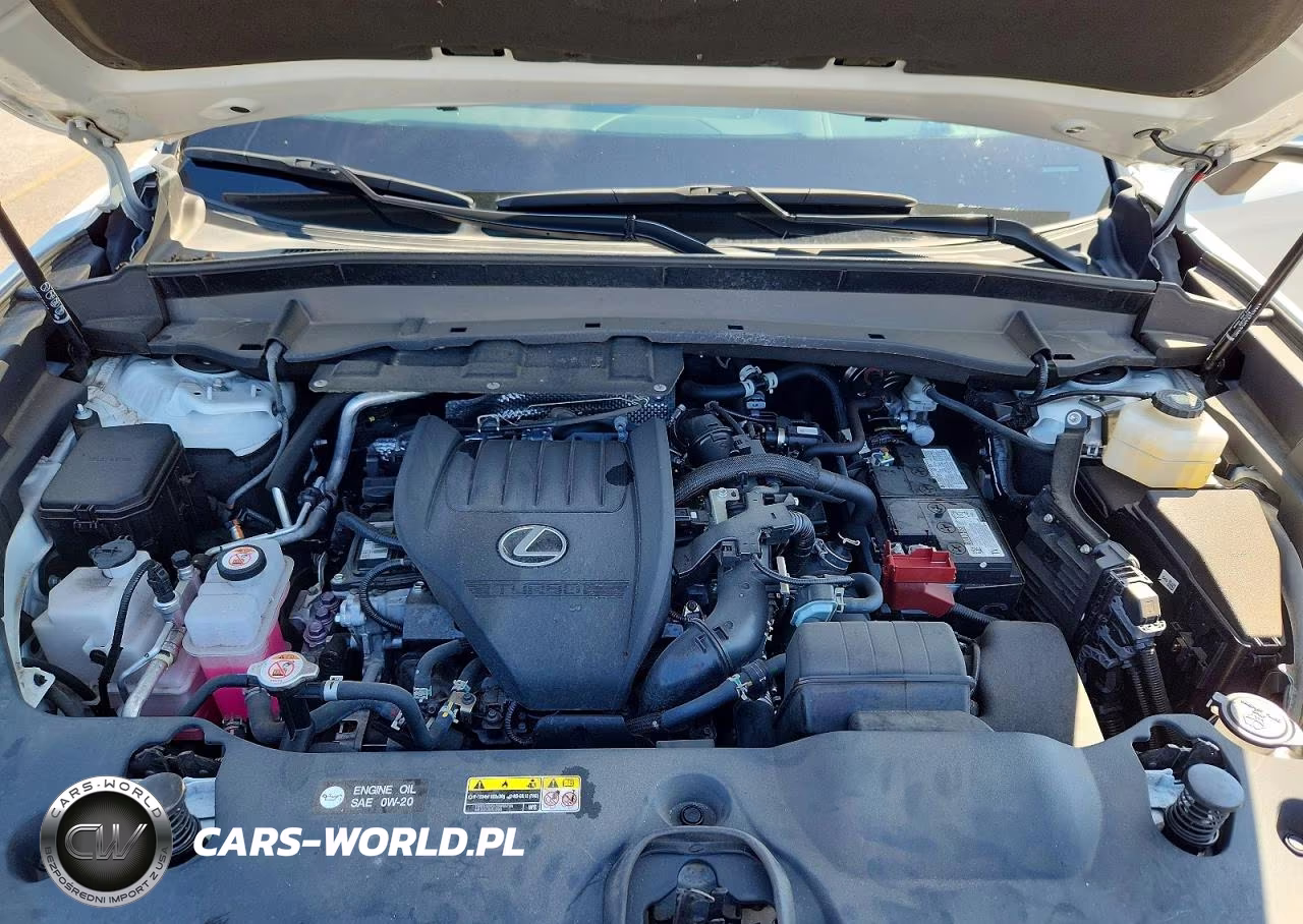 2024 Lexus Tx 350 Luxury VIN:5TDAAAA6XRS011110 - 12