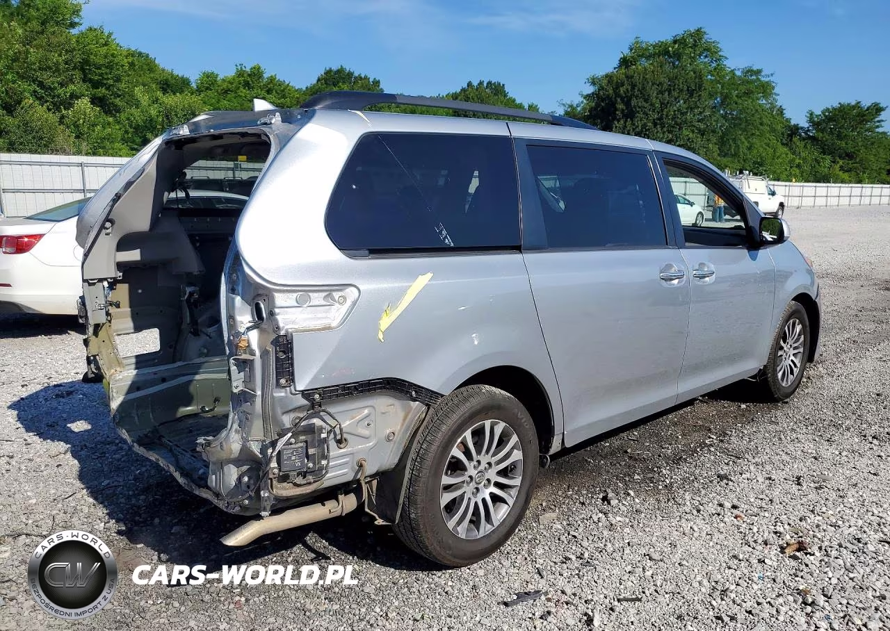 2019 Toyota Sienna Xle 8-Passenger VIN:5TDYZ3DCXKS978066 - 3