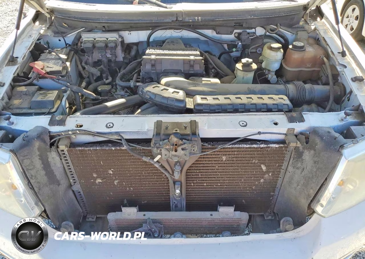 2005 Ford F150 Supercrew VIN:1FTPW12595FA55319 - 11