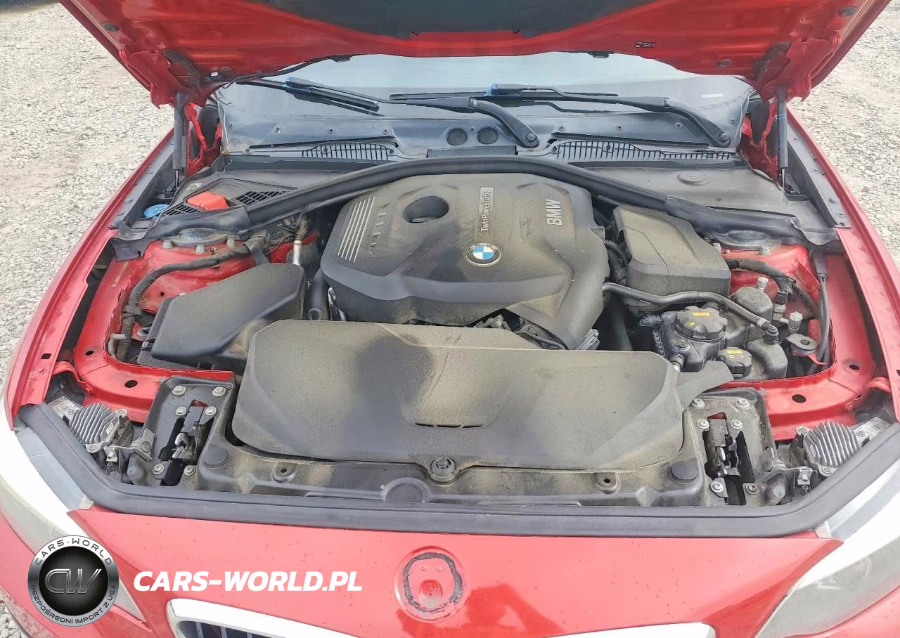 2018 BMW 230I VIN:WBA2J1C5XJVD08977 - 11