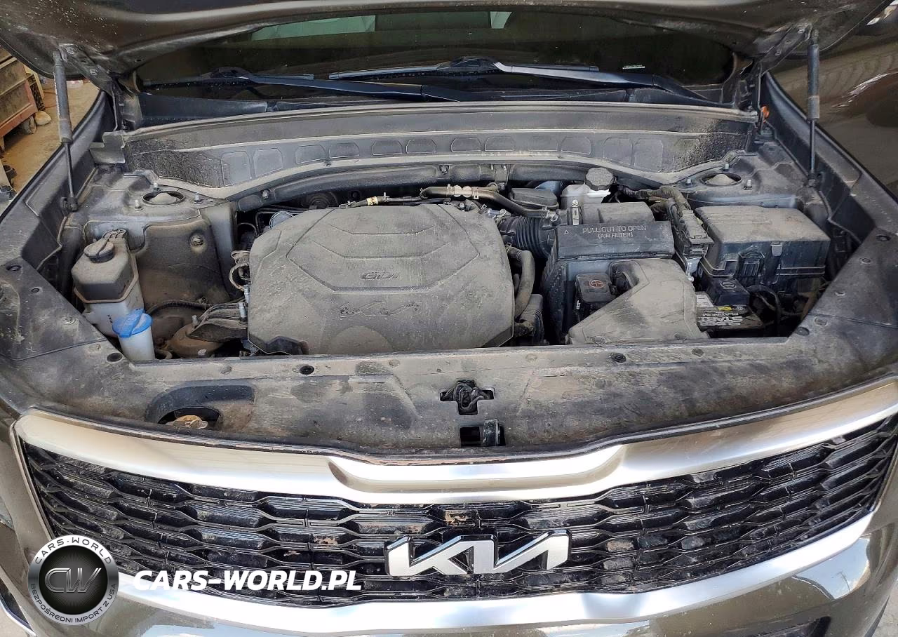 2022 Kia Telluride Ex VIN:5XYP34HC1NG210975 - 12