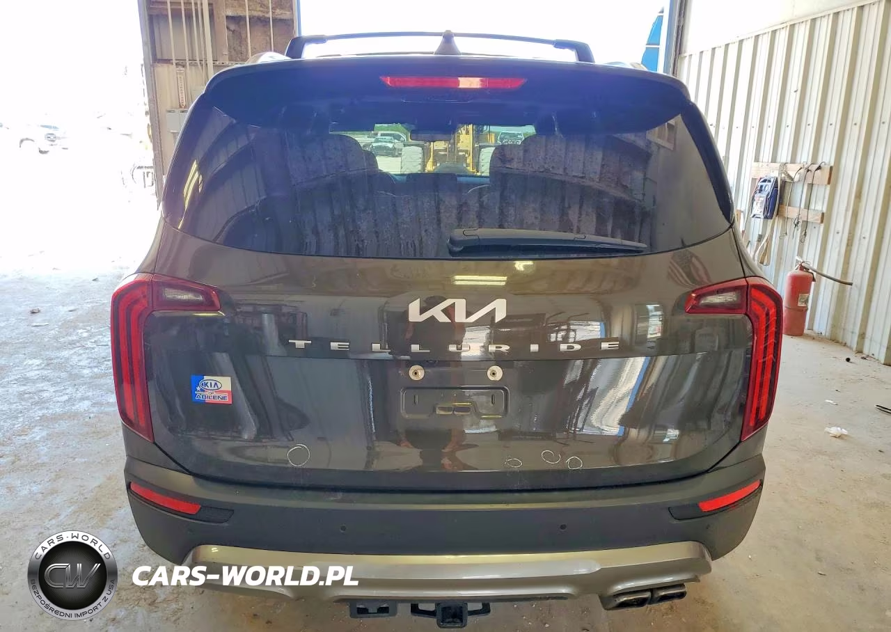 2022 Kia Telluride Ex VIN:5XYP34HC1NG210975 - 6