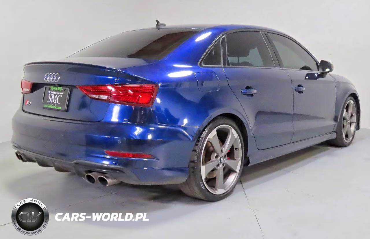 2019 Audi S3 Premium Plus VIN:WAUB1GFF6KA100141 - 3