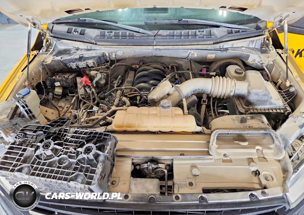 2020 Ford F150 VIN:1FTMF1C58LKE97711 - 11