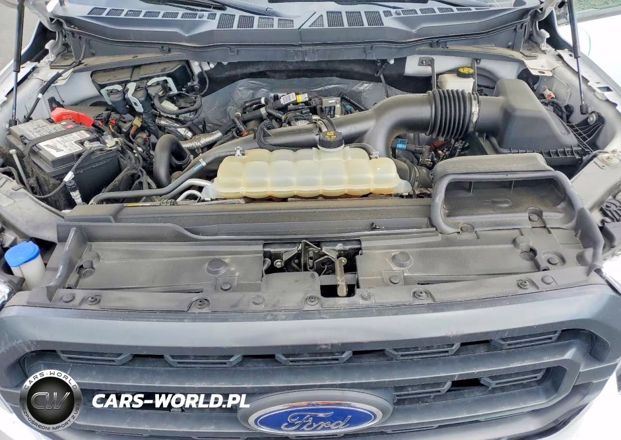 2021 Ford F150 Supercrew VIN:1FTEW1EP3MFB81646 - 11