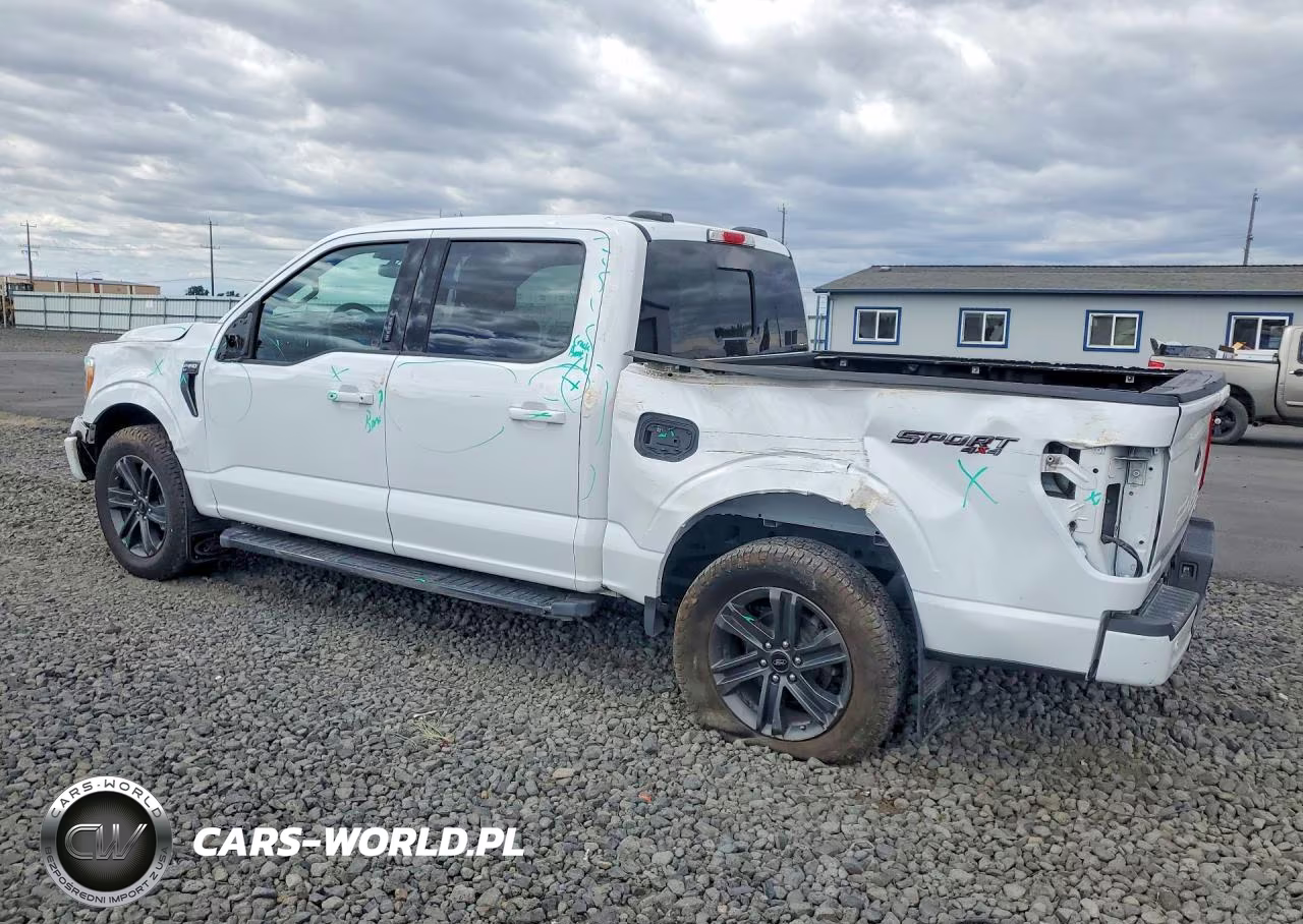 2021 Ford F150 Supercrew VIN:1FTEW1EP3MFB81646 - 2