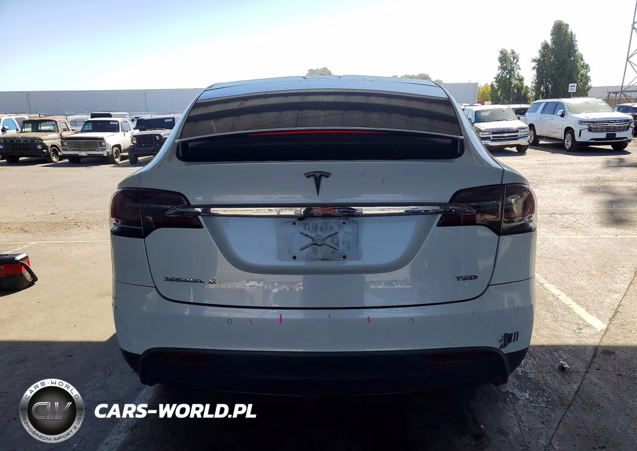 2018 Tesla Model X VIN:5YJXCAE21JF106367 - 6