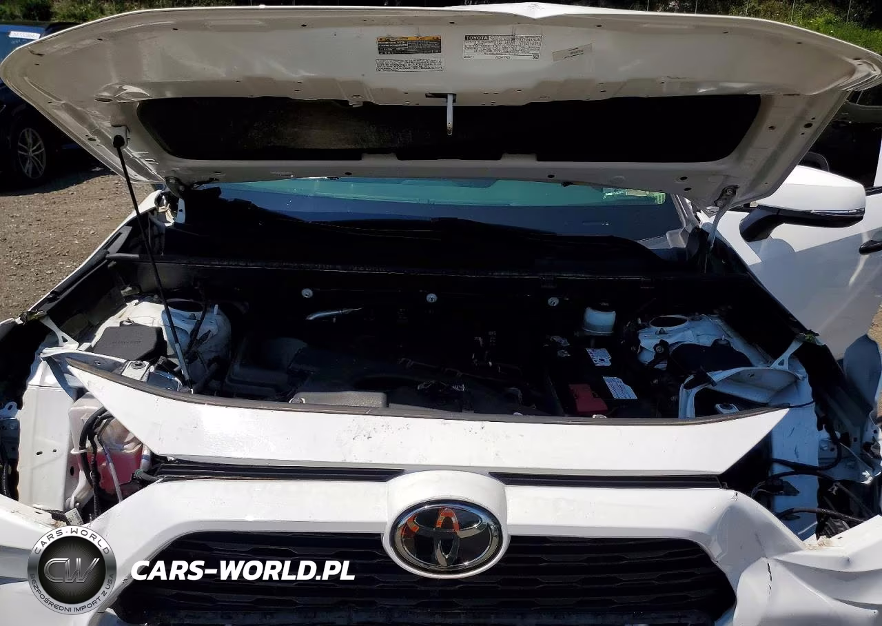 2020 Toyota Rav4 Xle Premium VIN:JTMA1RFV0LD525839 - 12