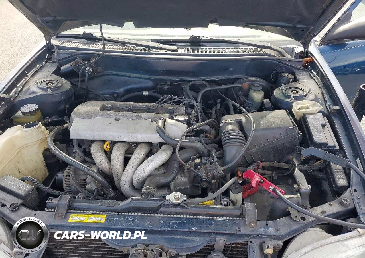 1998 Toyota Corolla Ve VIN:2T1BR12E1WC098385 - 11