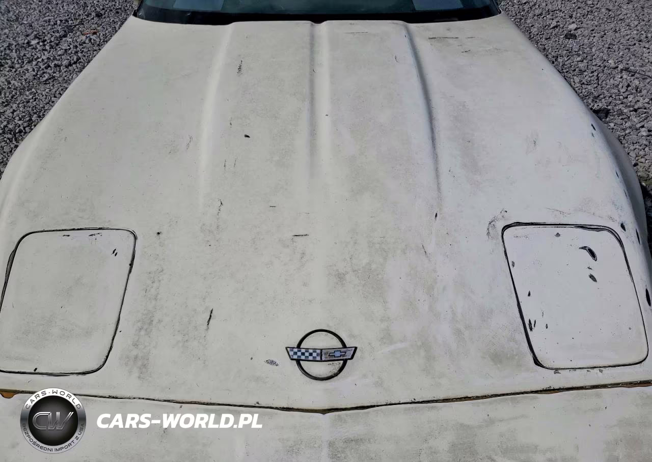 1985 Chevrolet Corvette VIN:1G1YY0784F5107800 - 11