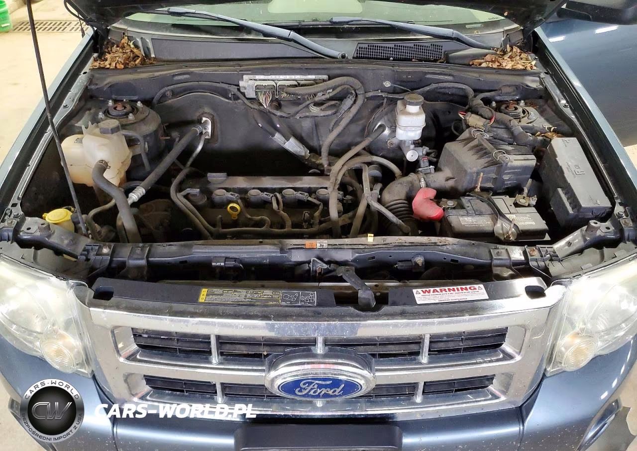 2011 Ford Escape Xlt VIN:1FMCU0D74BKB32934 - 12