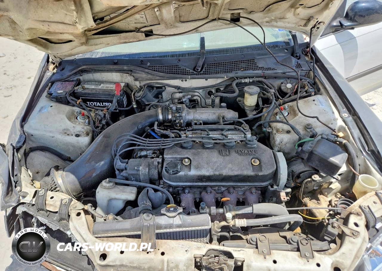1995 Honda Civic Lx VIN:1HGEG8657SL025452 - 11