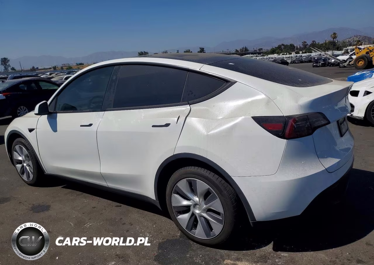 2023 Tesla Model Y VIN:7SAYGDEE1PA164380 - 2