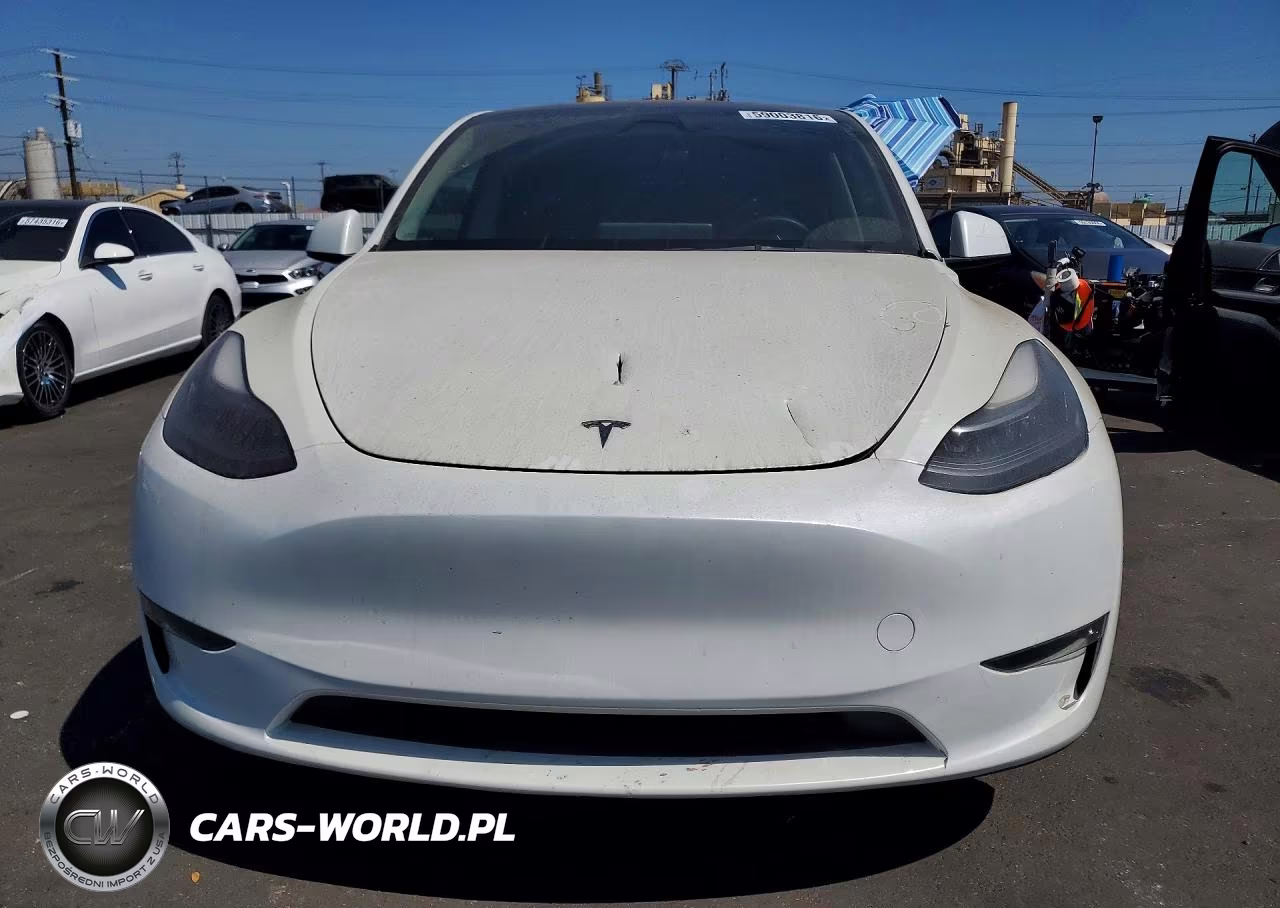 2023 Tesla Model Y VIN:7SAYGDEE1PA164380 - 5