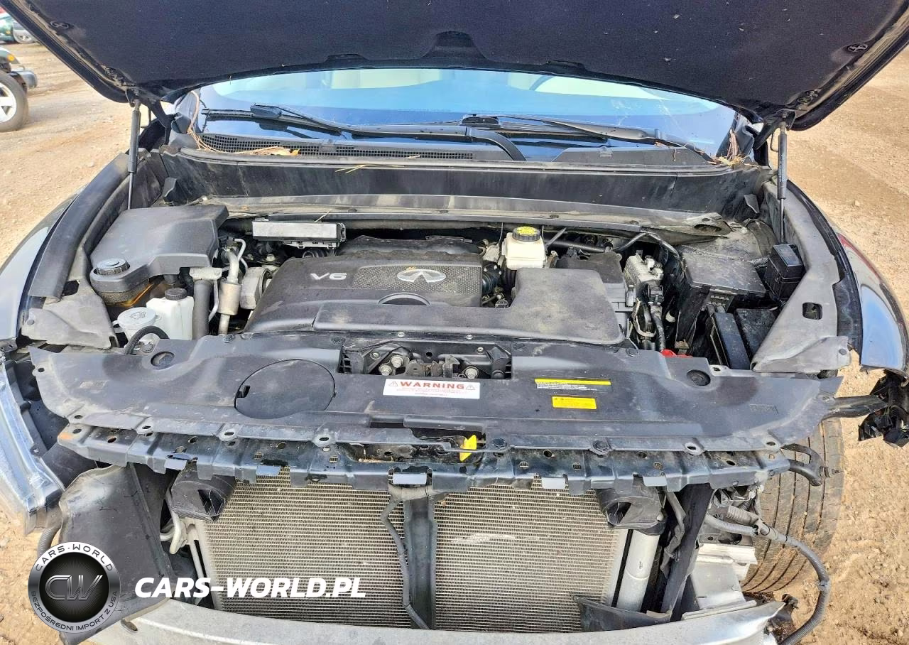 2020 Infiniti Qx60 Pure VIN:5N1DL0MM9LC500517 - 12