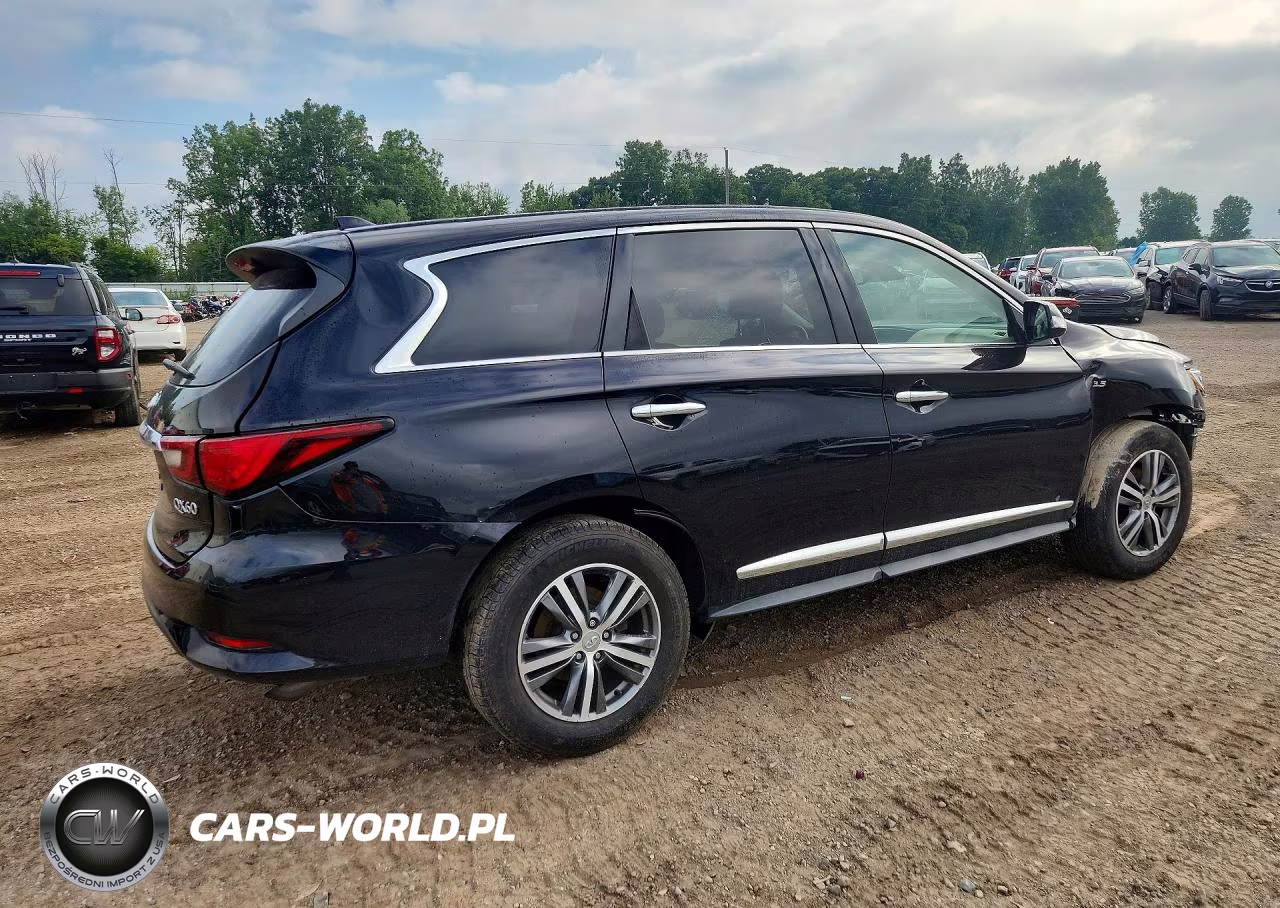 2020 Infiniti Qx60 Pure VIN:5N1DL0MM9LC500517 - 3