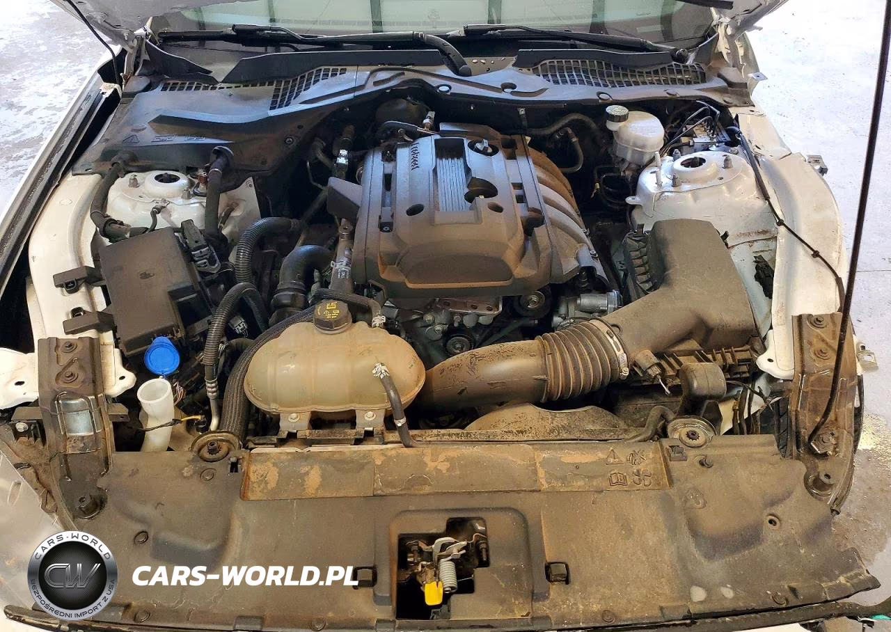 2020 Ford Mustang VIN:1FA6P8TH7L5187837 - 11