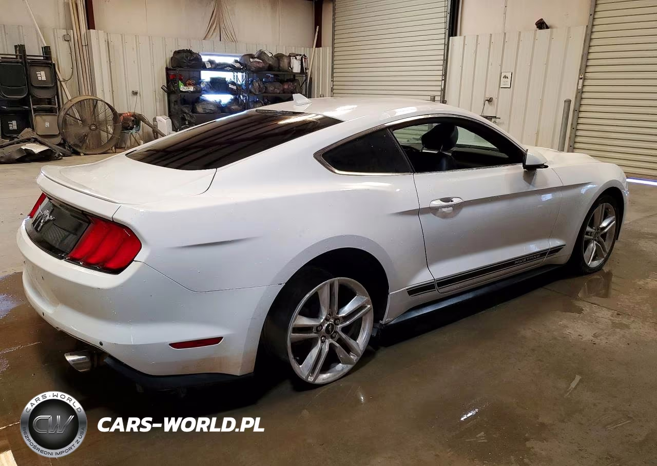2020 Ford Mustang VIN:1FA6P8TH7L5187837 - 3