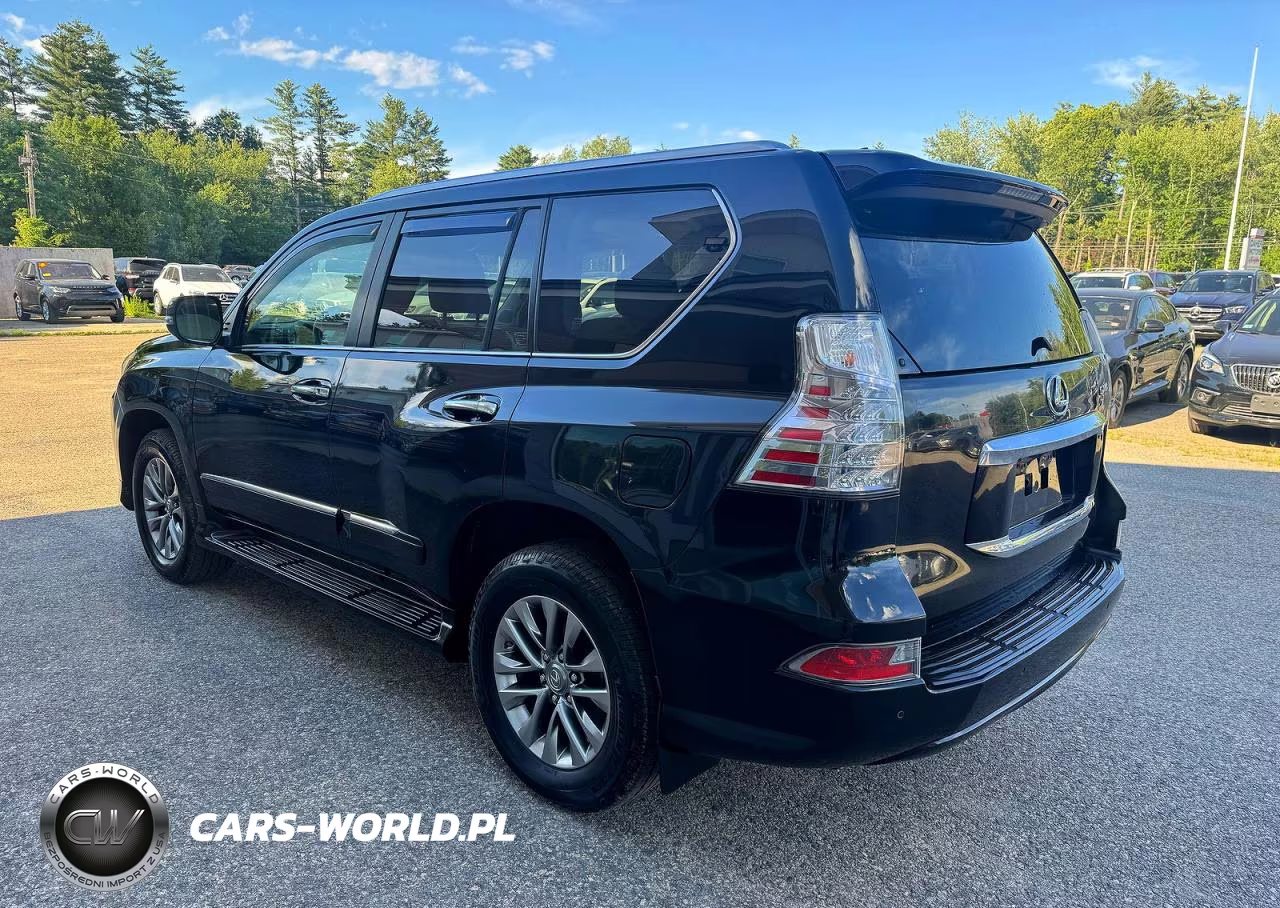 2015 Lexus Gx 460 Premium VIN:JTJJM7FX7F5104385 - 3