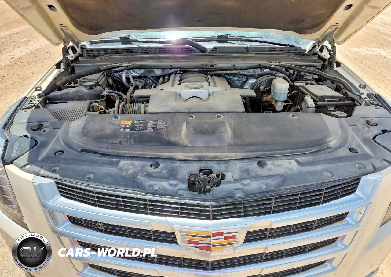 2015 Cadillac Escalade Esv Premium VIN:1GYS4TKJ4FR706472 - 12