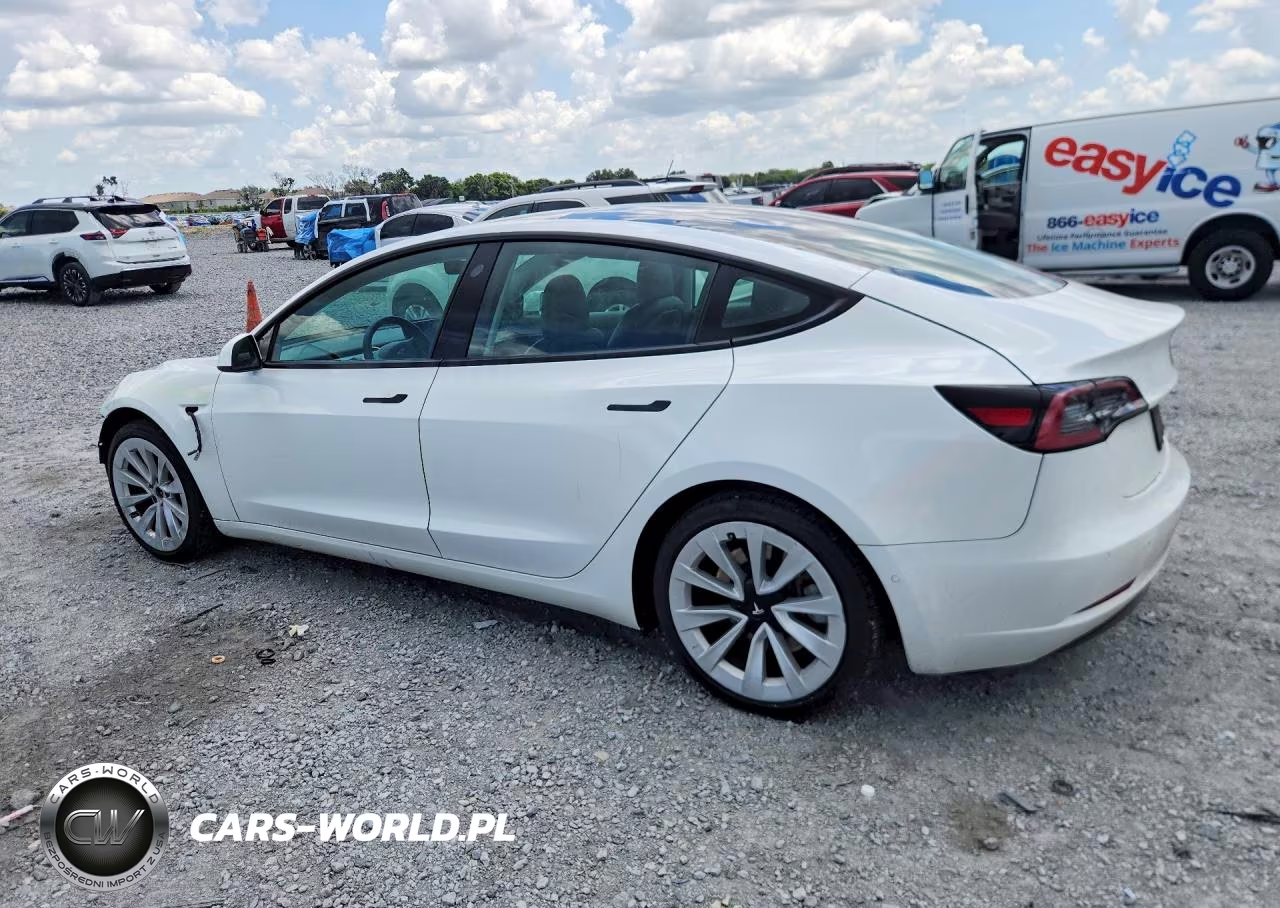 2021 Tesla Model 3 VIN:5YJ3E1EA2MF053358 - 2
