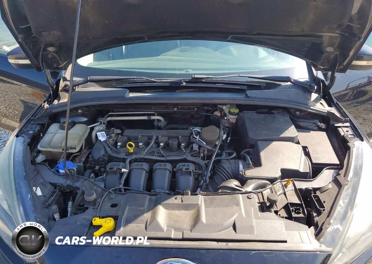 2015 Ford Focus Se VIN:1FADP3F21FL344876 - 11