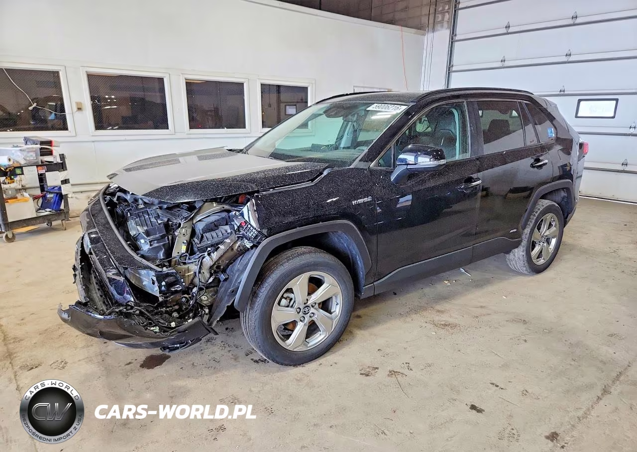 2019 Toyota Rav4 Limited