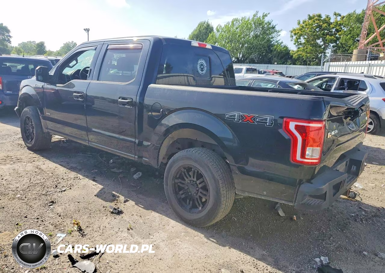 2016 Ford F150 Supercrew VIN:1FTEW1EP2GKF04208 - 2