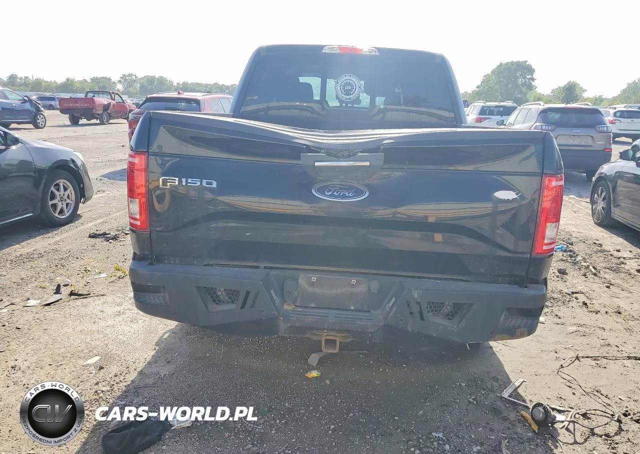 2016 Ford F150 Supercrew VIN:1FTEW1EP2GKF04208 - 6