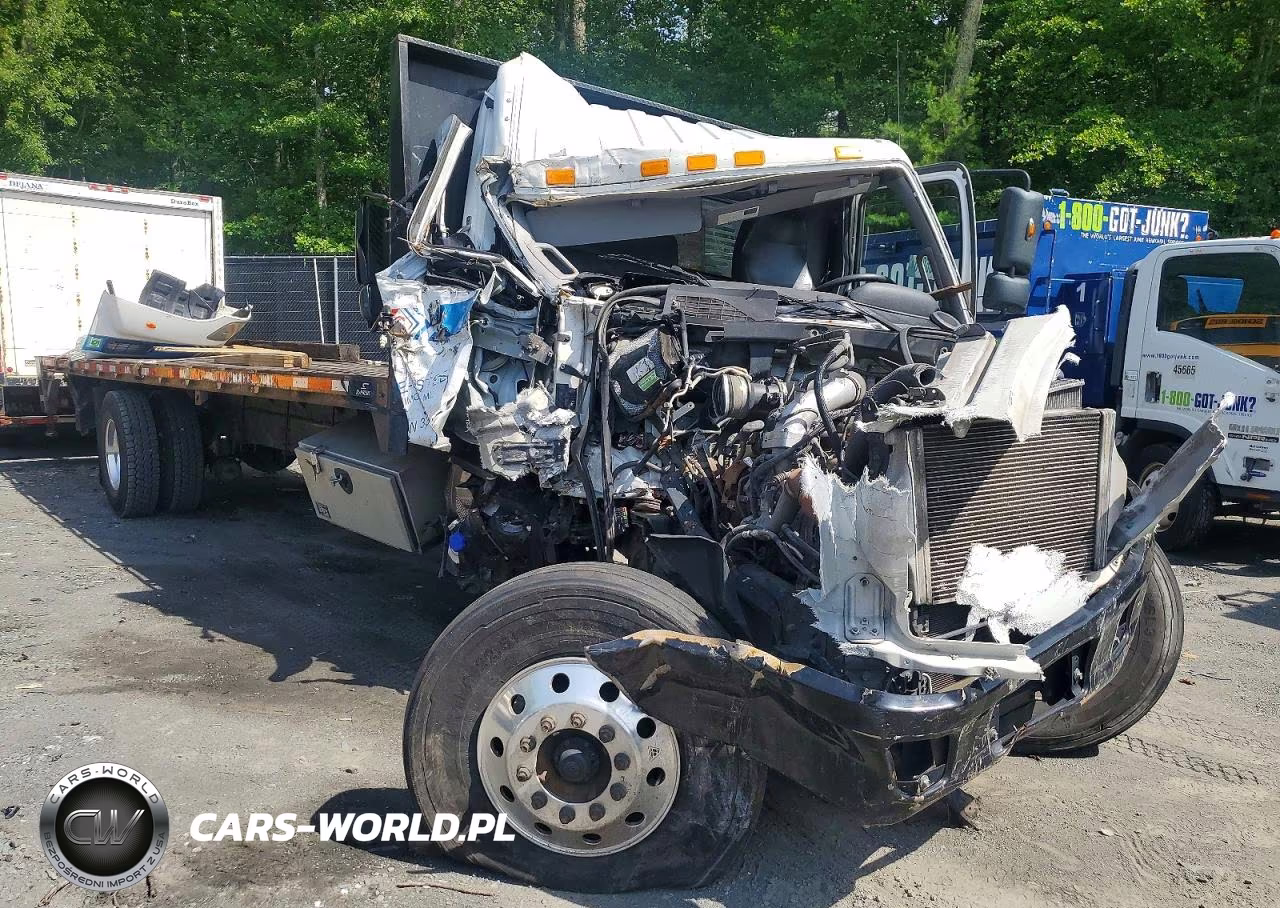 2019 Hino Hino 338 - Flat Bed Truck – zdjęcie 1 z 10