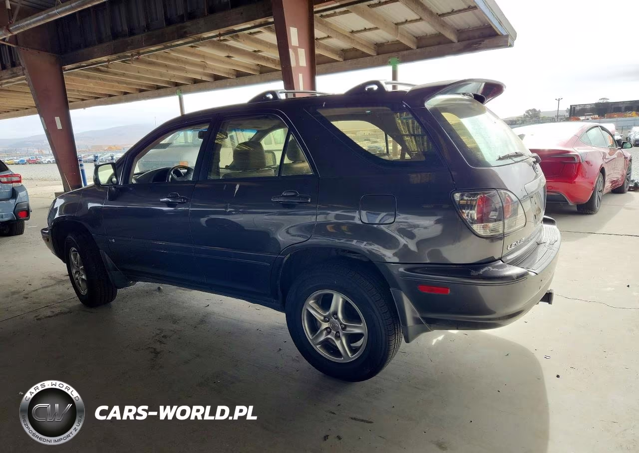 2002 Lexus Rx 300 VIN:JTJHF10U520268911 - 2