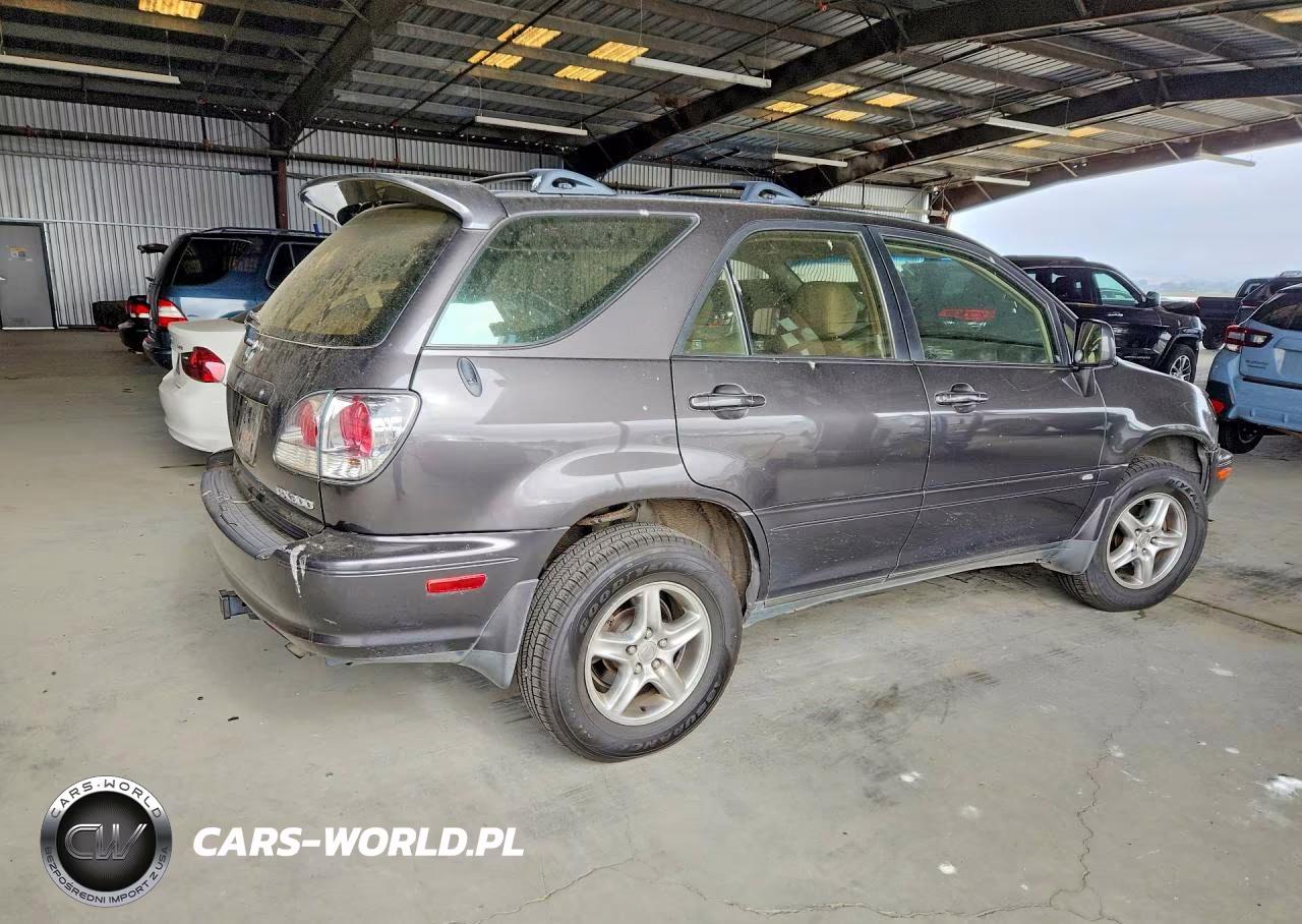 2002 Lexus Rx 300 VIN:JTJHF10U520268911 - 3