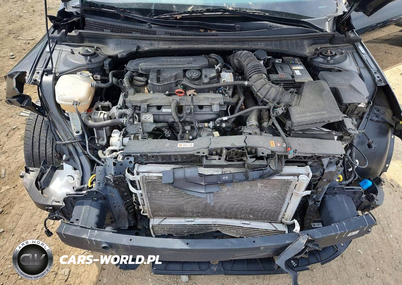 2023 Hyundai Elantra N Line VIN:KMHLR4AF0PU411846 - 11