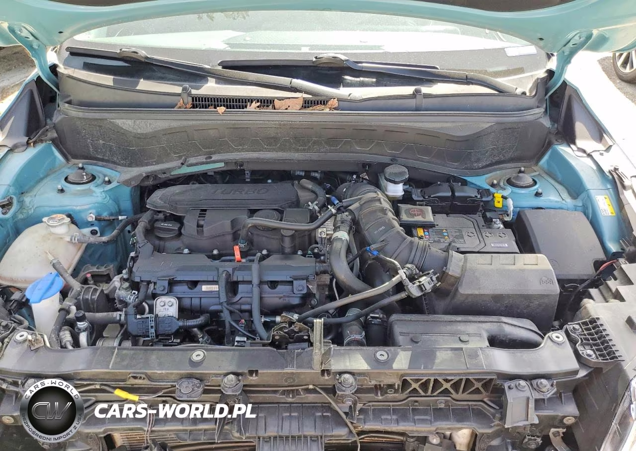 2024 Kia Seltos Sx VIN:KNDETCA70R7572913 - 12