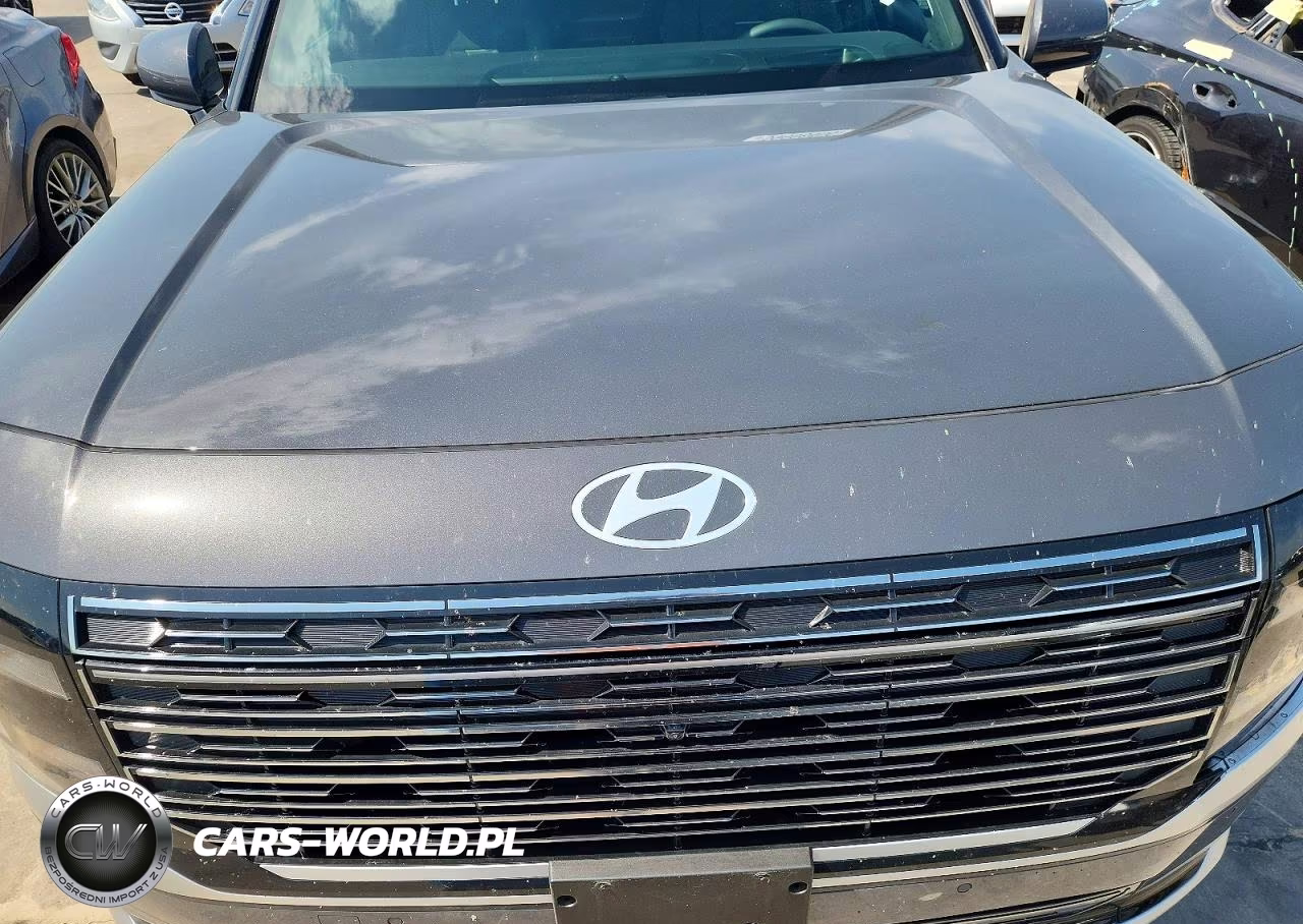2026 Hyundai Palisade Calligraphy VIN:KM8RM5S22TU046056 - 12
