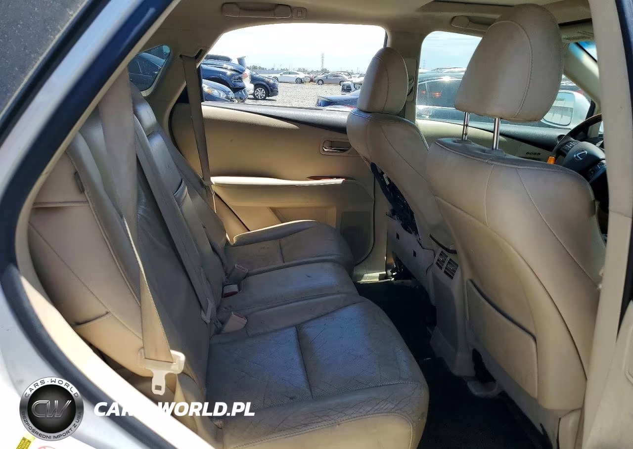 2010 Lexus Rx 350 VIN:JTJBK1BA4A2417994 - 10