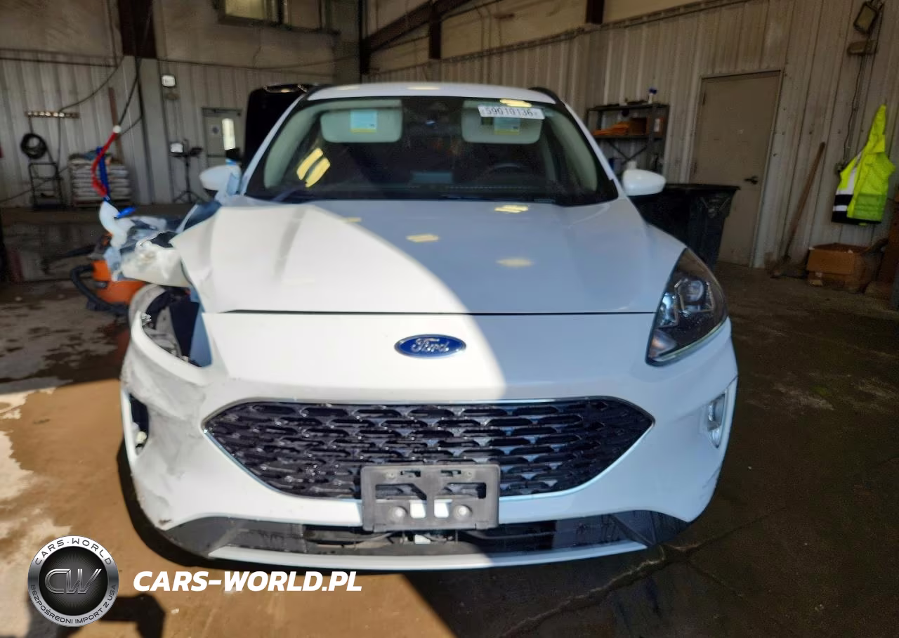 2020 Ford Escape Sel VIN:1FMCU9H6XLUB32528 - 5