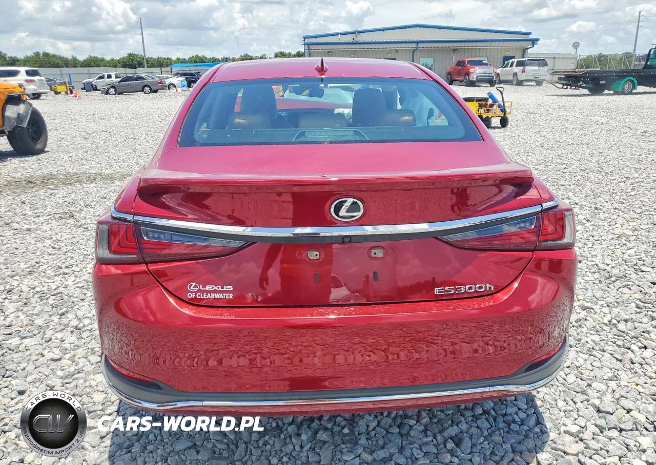 2024 Lexus Es 300H Base VIN:58ADA1C12RU051549 - 6