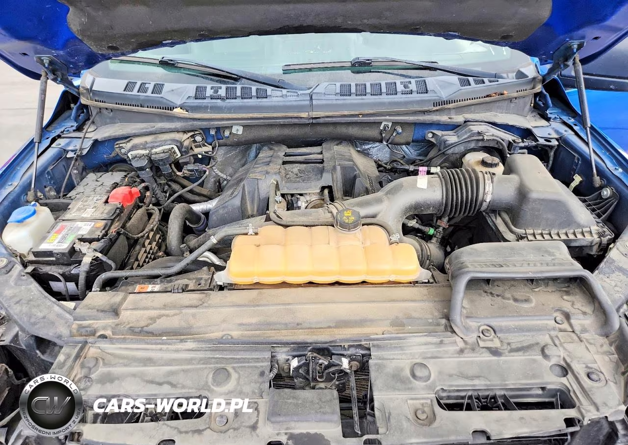 2015 Ford F150 Supercrew VIN:1FTEW1EP4FKE39232 - 11