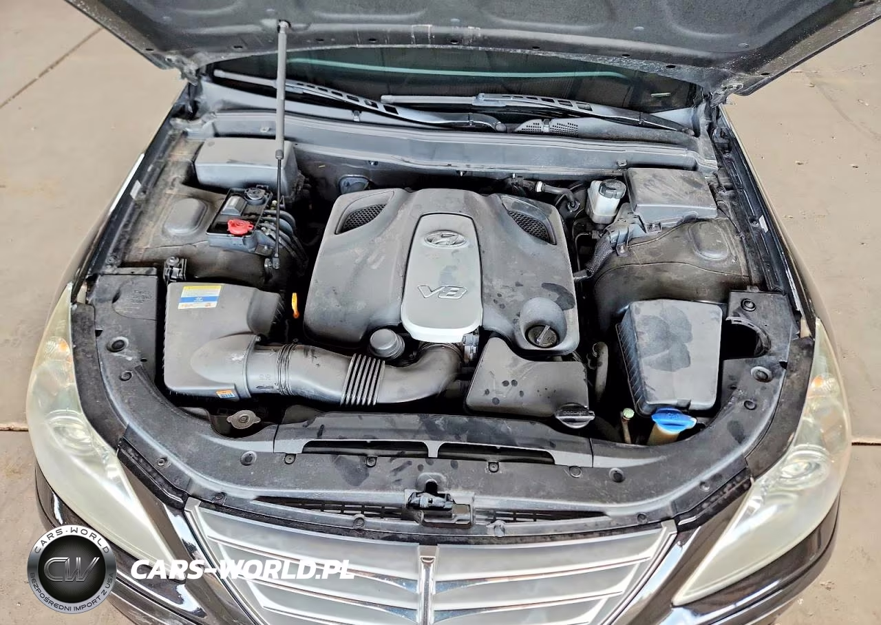 2011 Hyundai Genesis 4.6L VIN:KMHGC4DF2BU121423 - 11