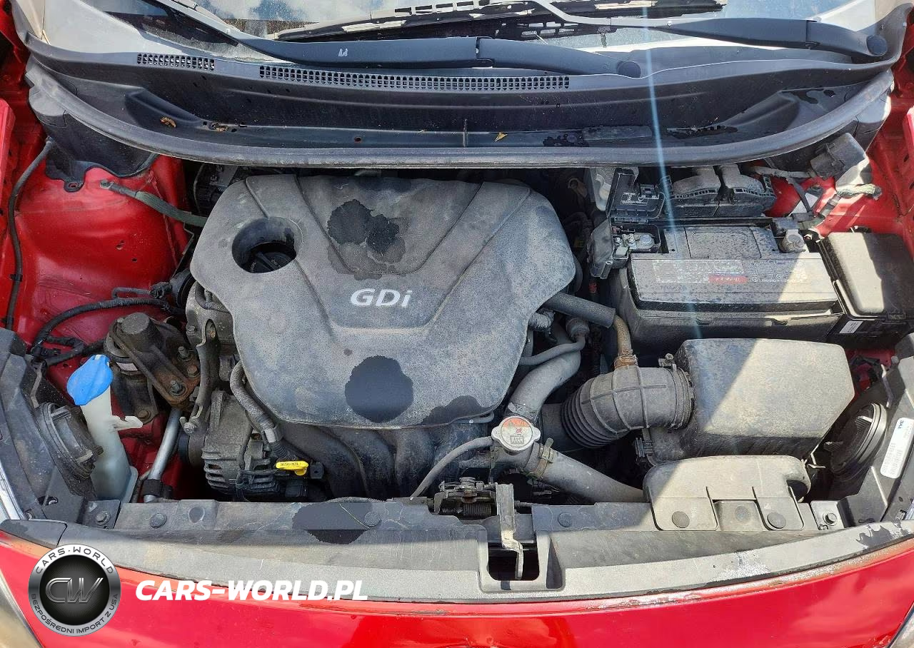 2013 Kia Rio 5-Door Ex VIN:KNADN5A34D6195206 - 11