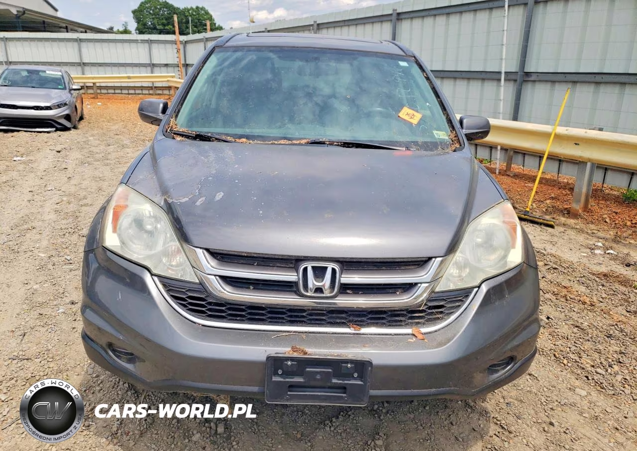 2010 Honda Cr-V Exl VIN:5J6RE4H72AL000769 - 5