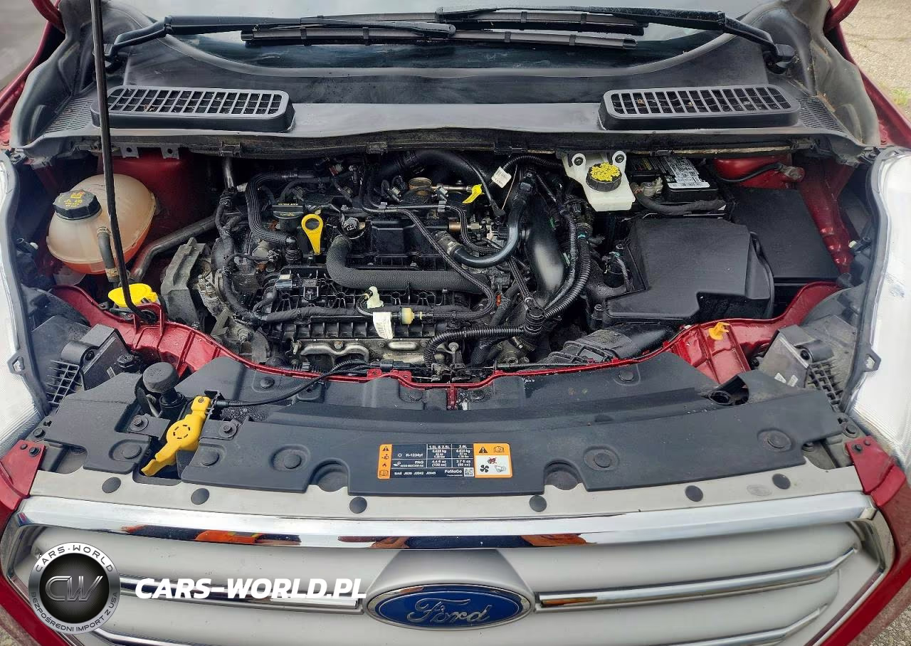 2019 Ford Escape Sel VIN:1FMCU9HD8KUB24943 - 12