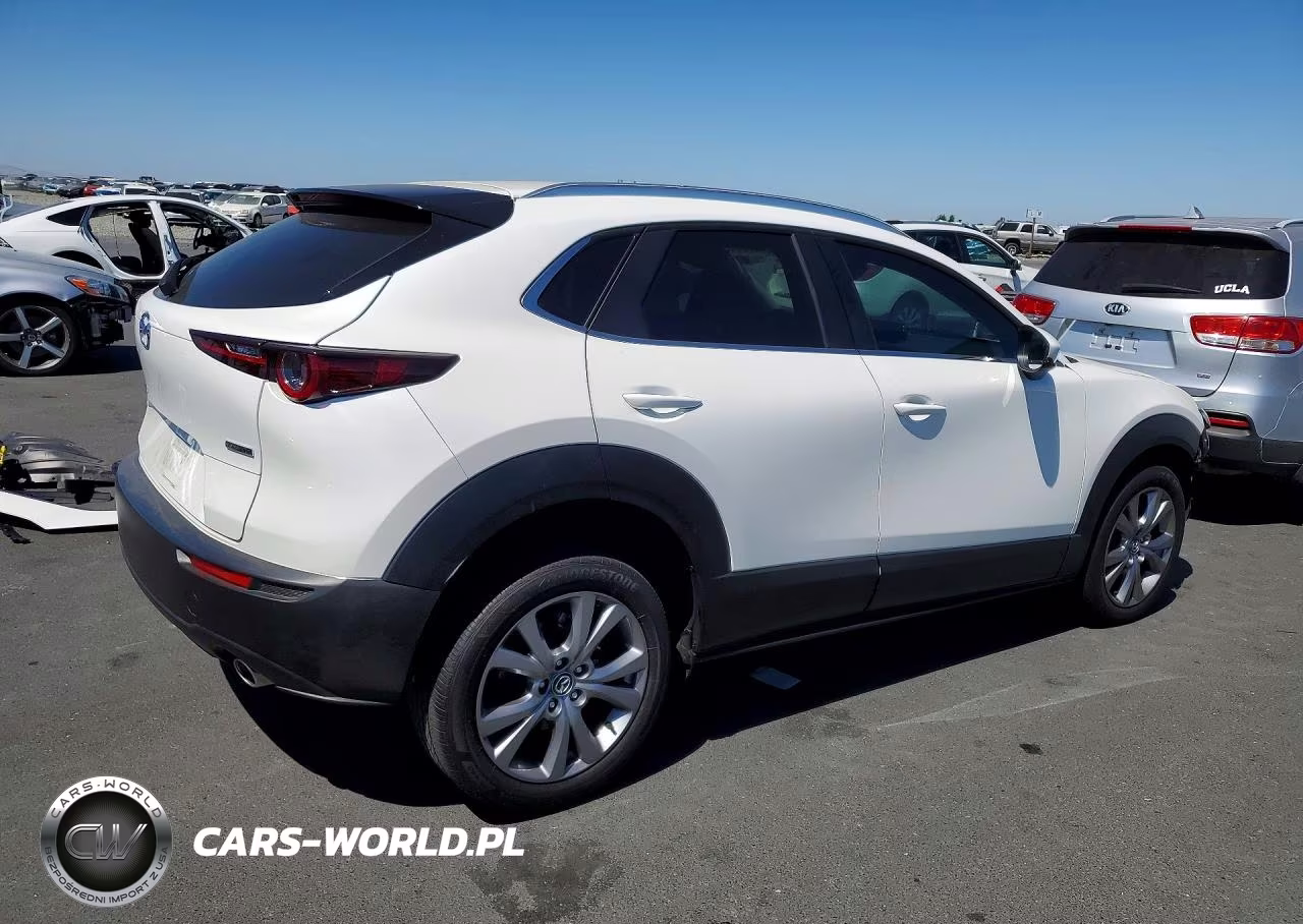 2023 Mazda Cx-30 VIN:3MVDMBBM5PM551614 - 3