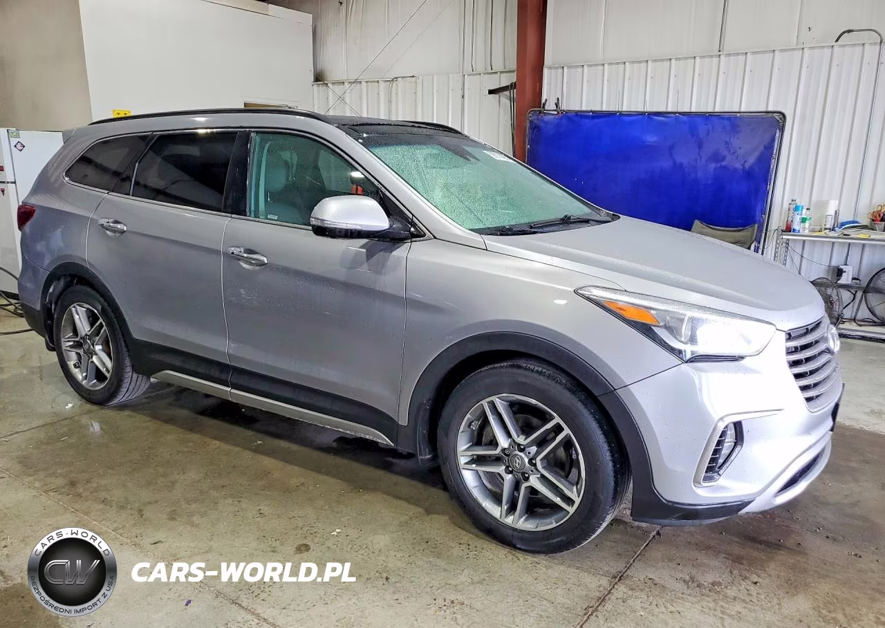 2019 Hyundai Santa Fe Xl Limited Ultimate VIN:KM8SRDHF8KU310659 - 4