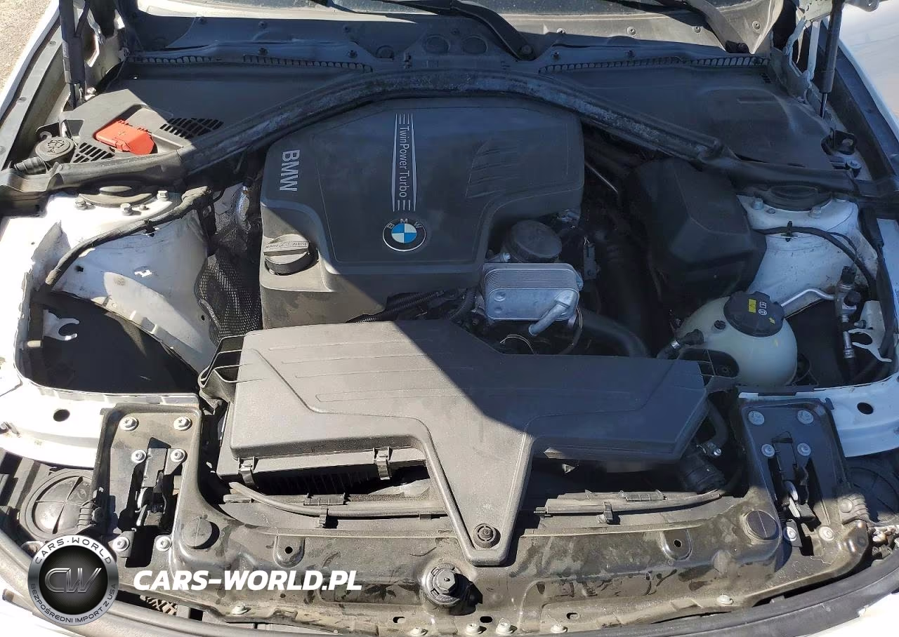 2015 BMW 320 I VIN:WBA3B1C55FK139474 - 11