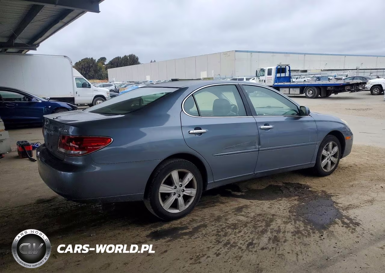 2005 Lexus Es 330 VIN:JTHBA30G755136056 - 3